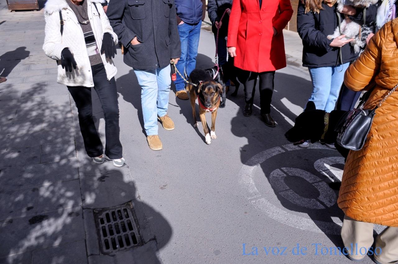 ob.imagen.Descripcion