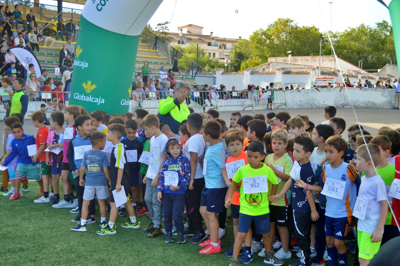 ob.imagen.Descripcion