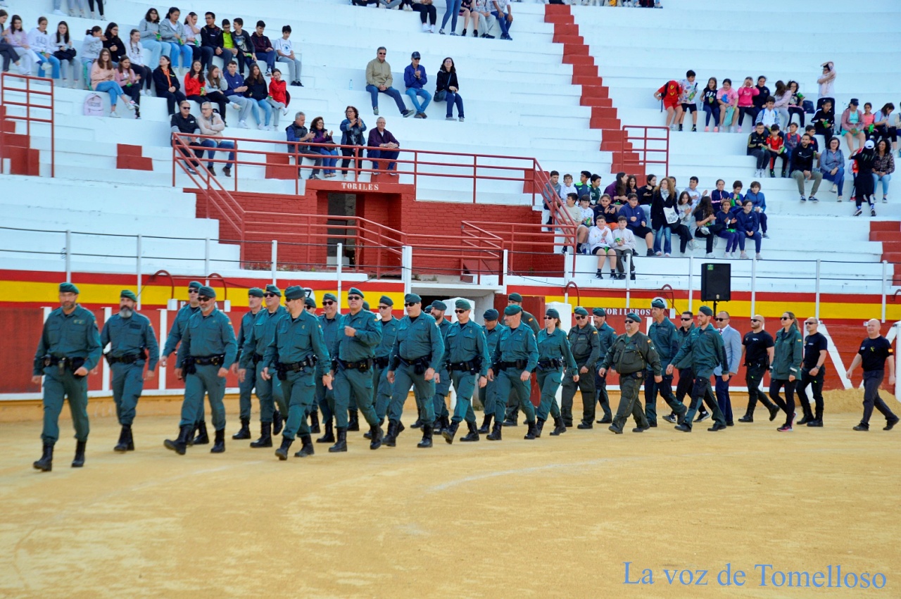 ob.imagen.Descripcion