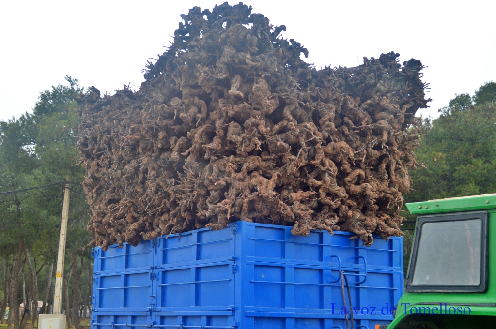 ob.imagen.Descripcion