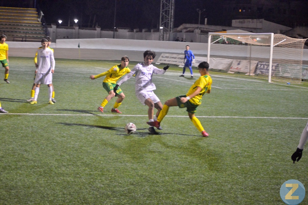 ob.imagen.Descripcion