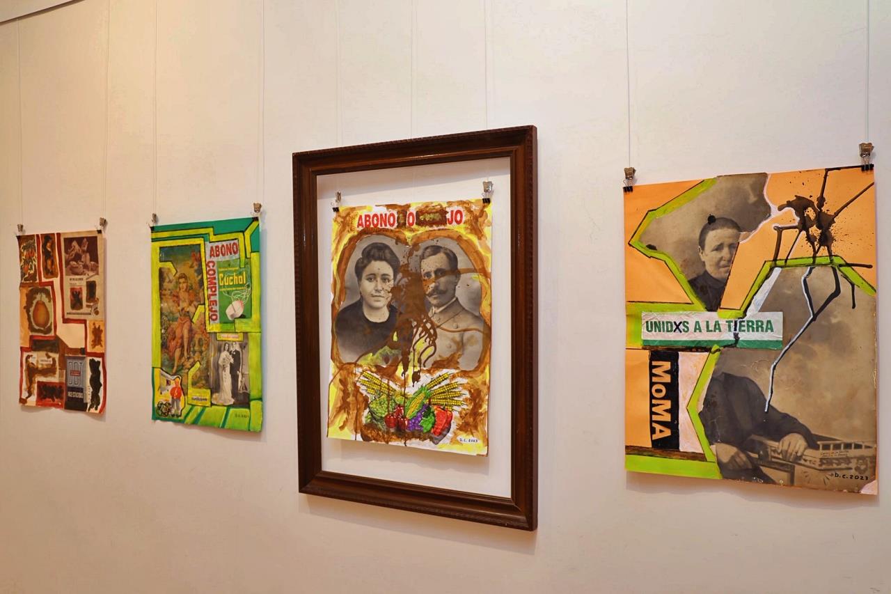 ob.imagen.Descripcion