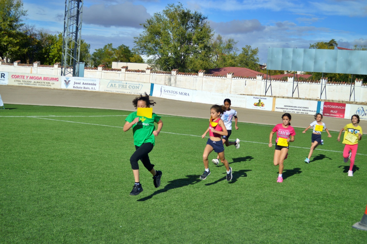 ob.imagen.Descripcion