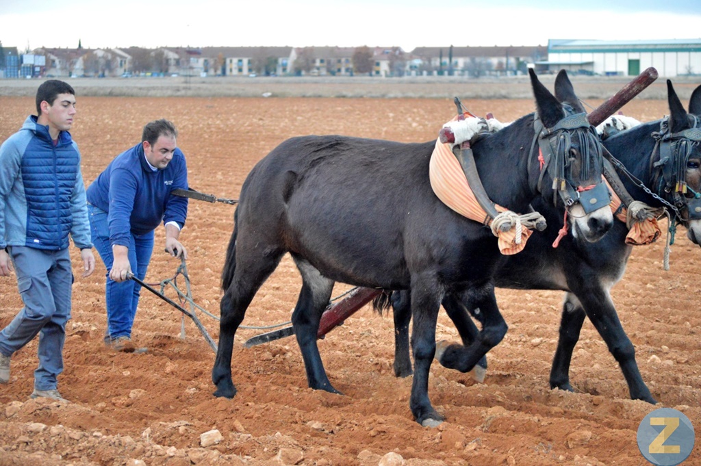 ob.imagen.Descripcion