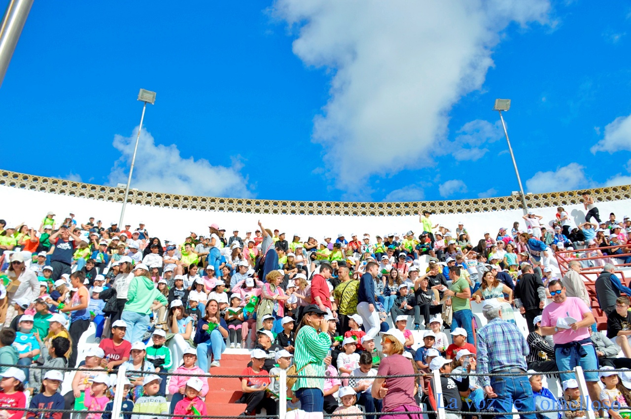 ob.imagen.Descripcion