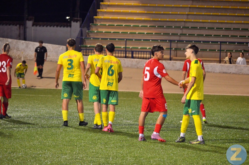 ob.imagen.Descripcion