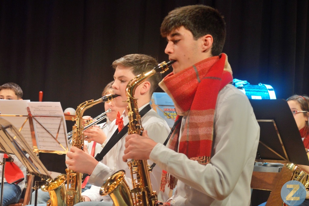 ob.imagen.Descripcion