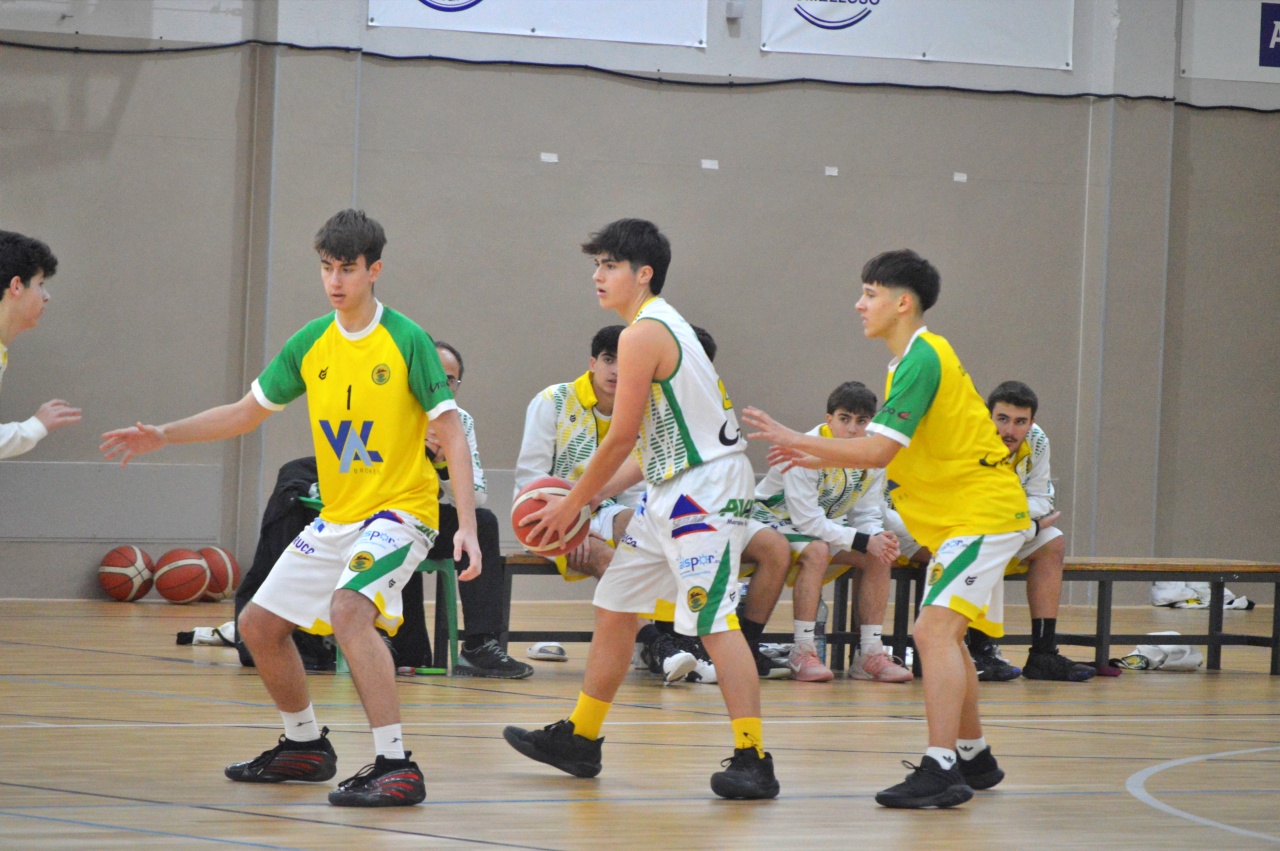 ob.imagen.Descripcion