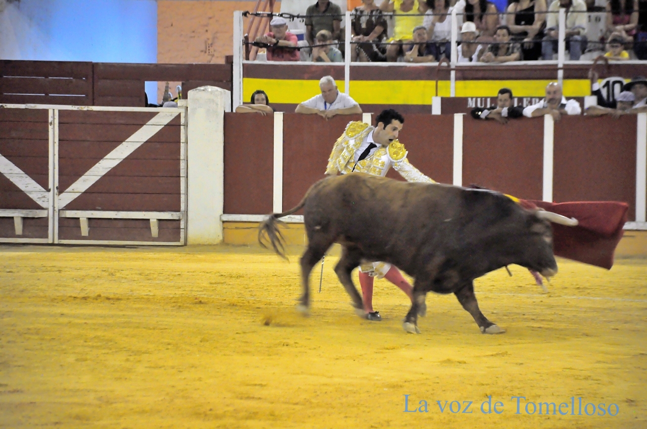 ob.imagen.Descripcion