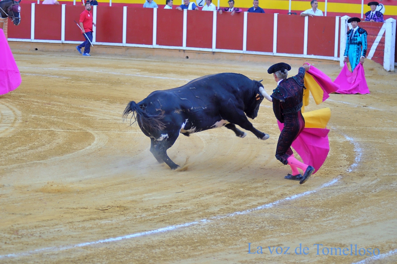 ob.imagen.Descripcion