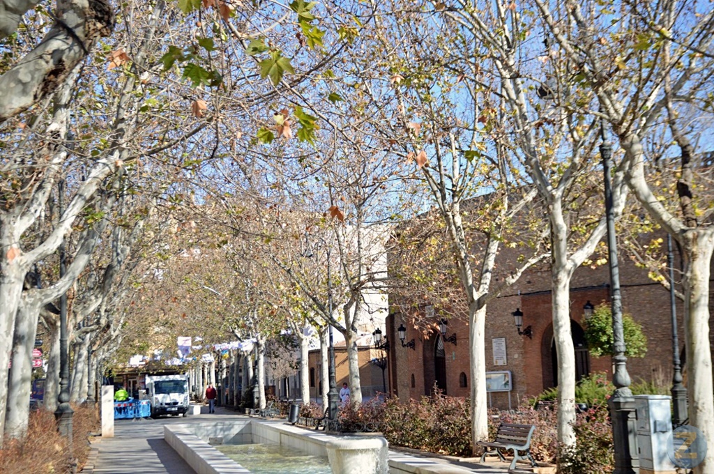 ob.imagen.Descripcion