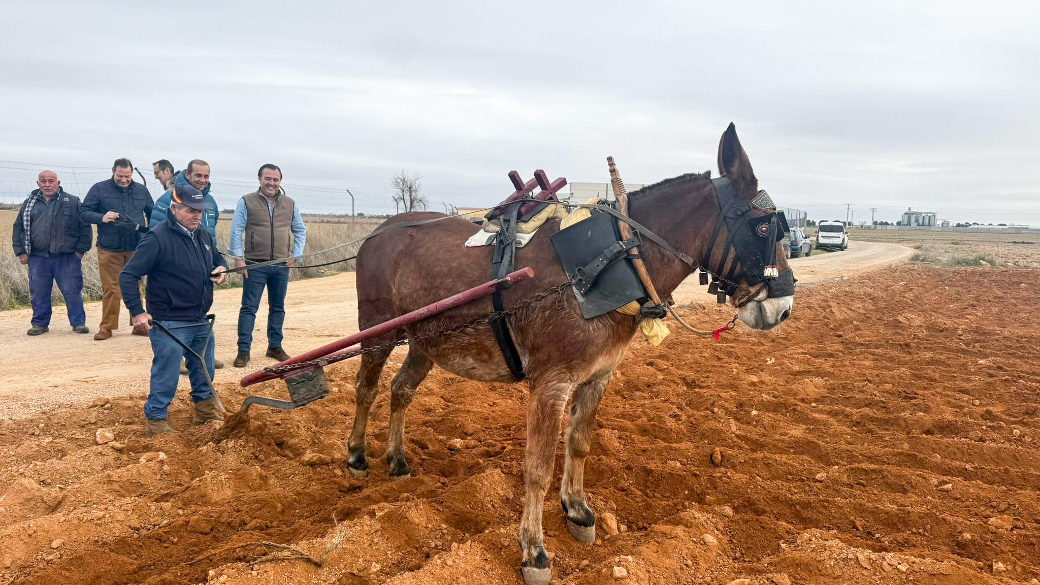 ob.imagen.Descripcion