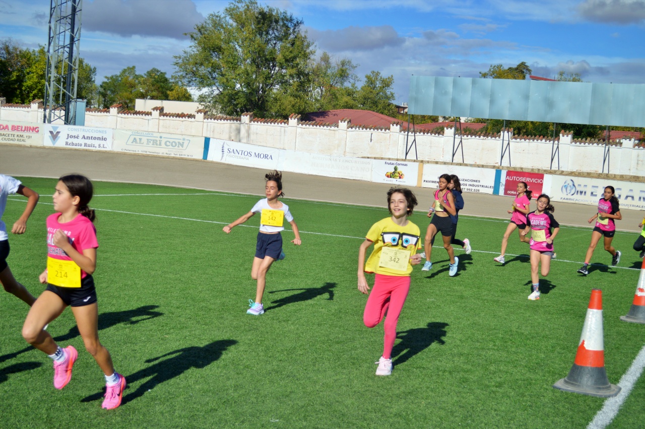 ob.imagen.Descripcion