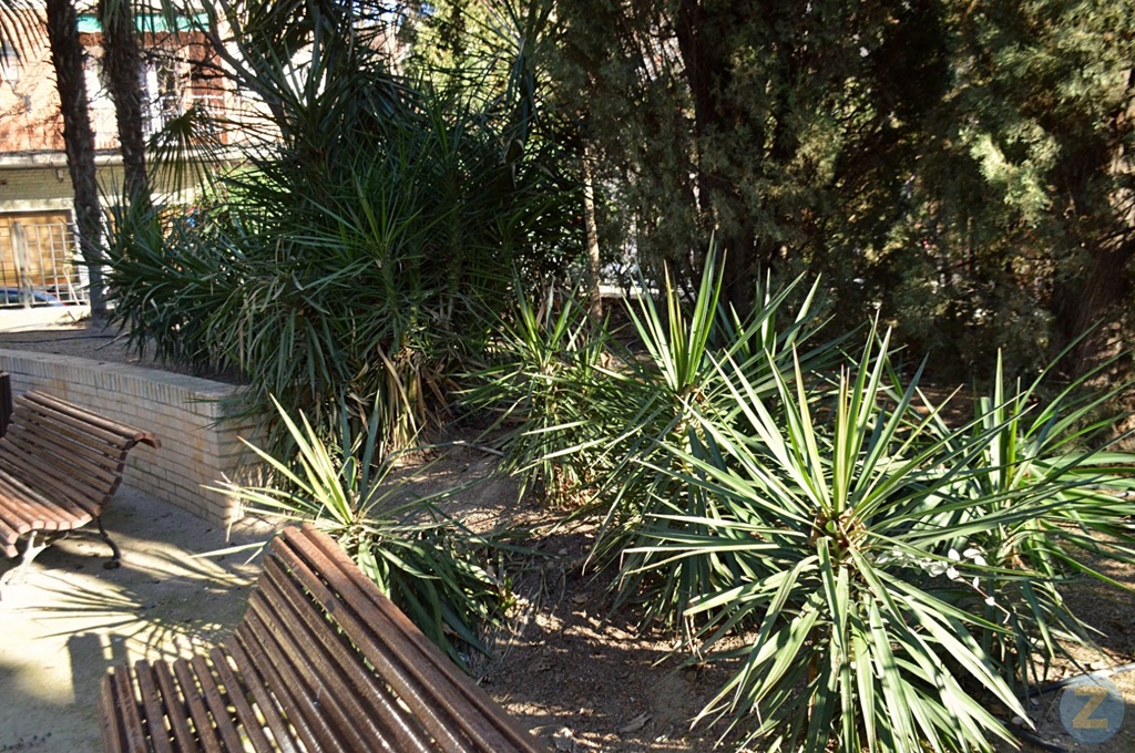 ob.imagen.Descripcion