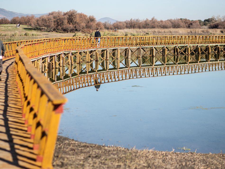 Las Tablas de Daimiel este invierno / Elena Rosa