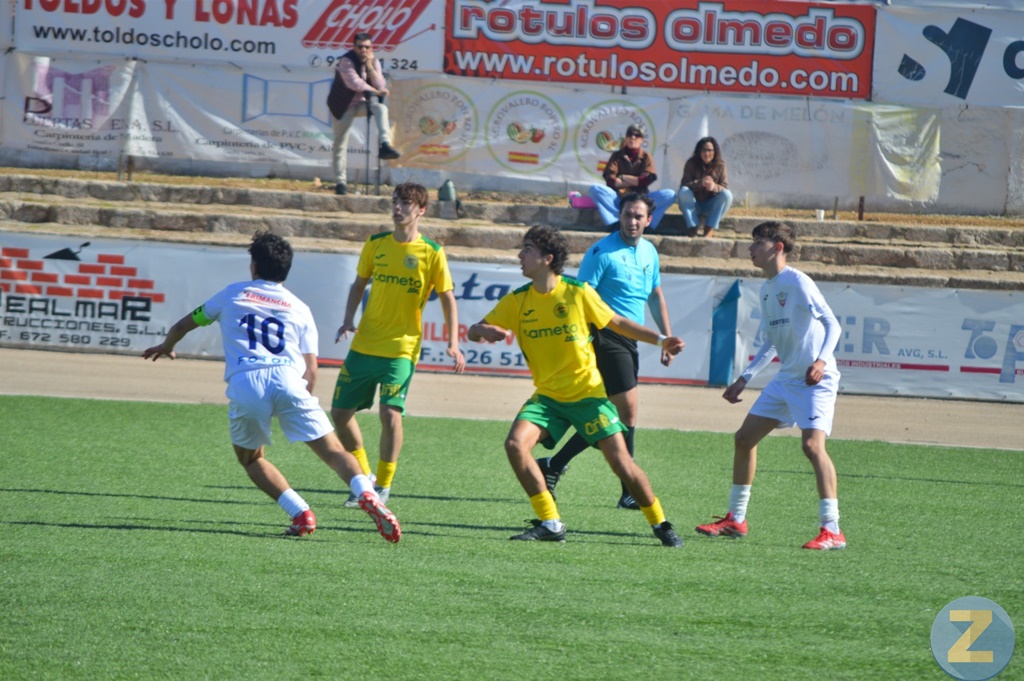 ob.imagen.Descripcion