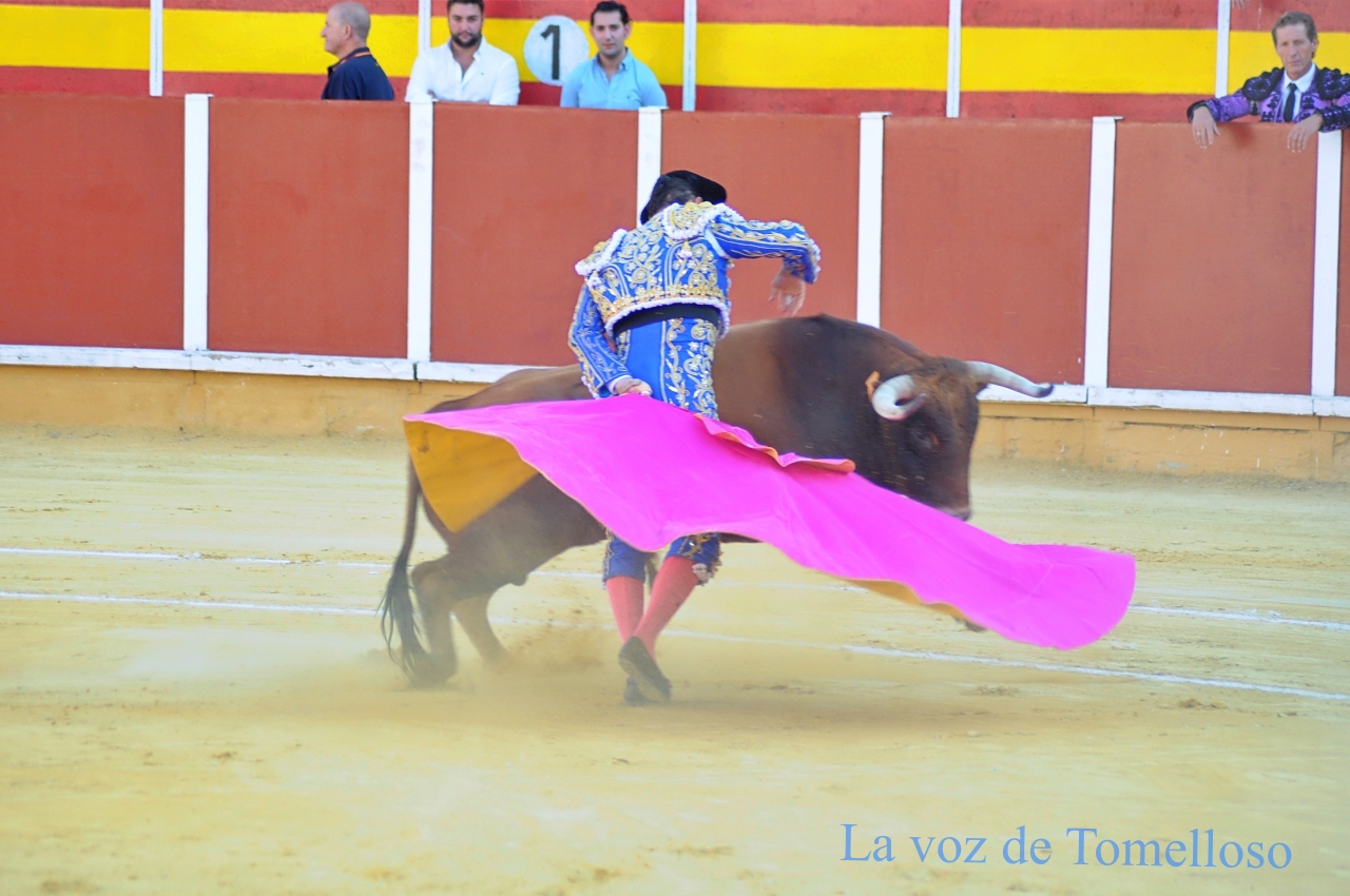 ob.imagen.Descripcion