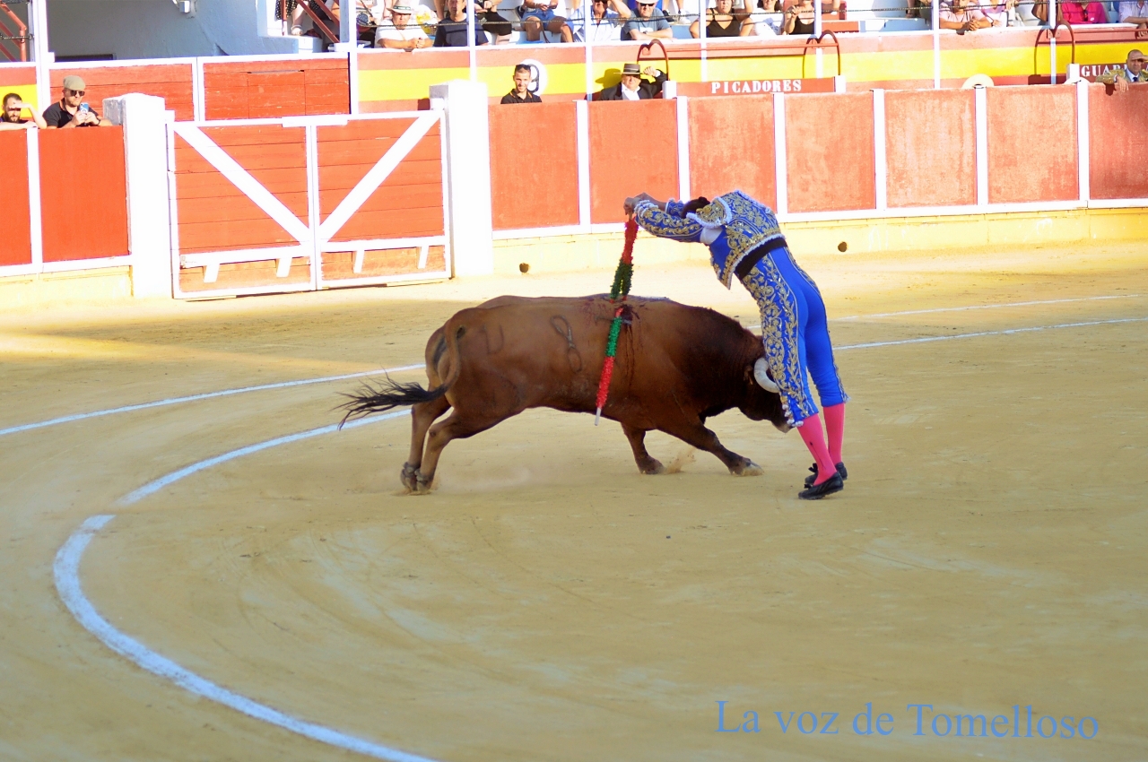 ob.imagen.Descripcion