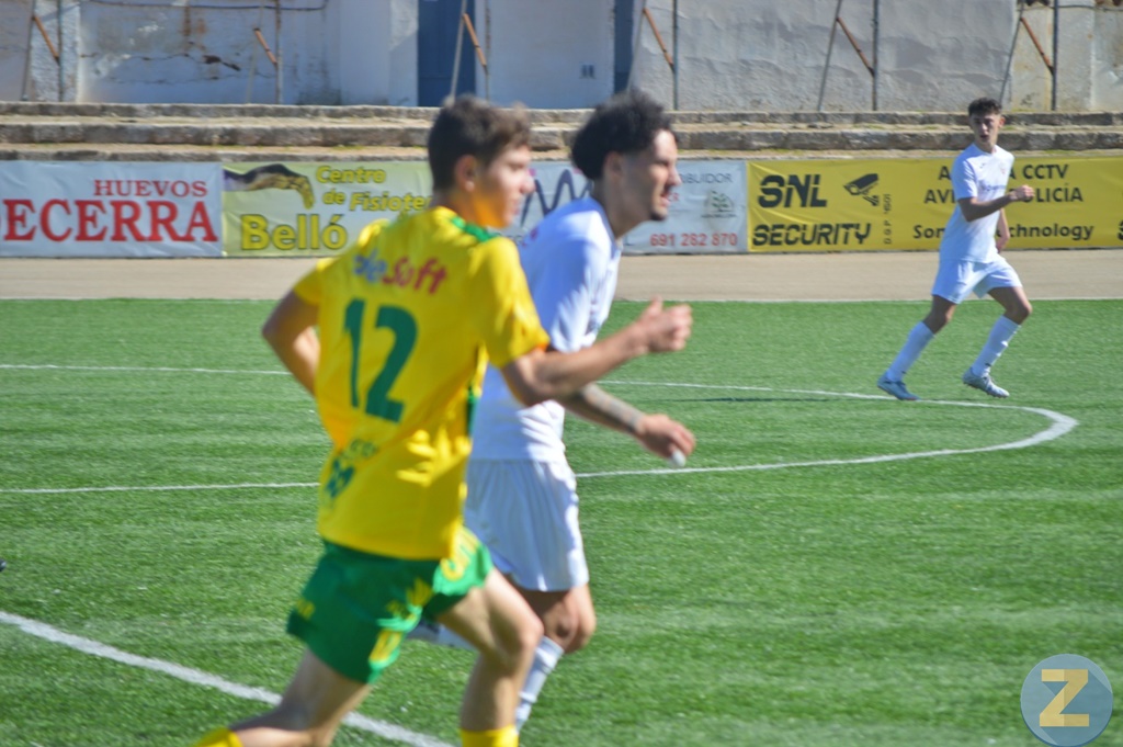 ob.imagen.Descripcion