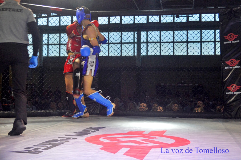 ob.imagen.Descripcion