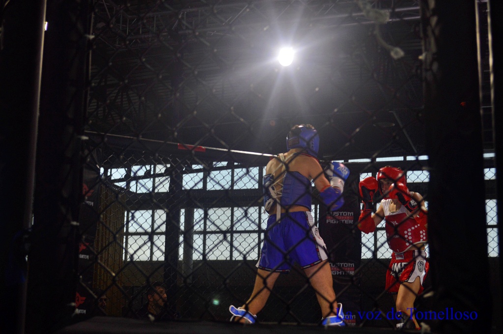 ob.imagen.Descripcion