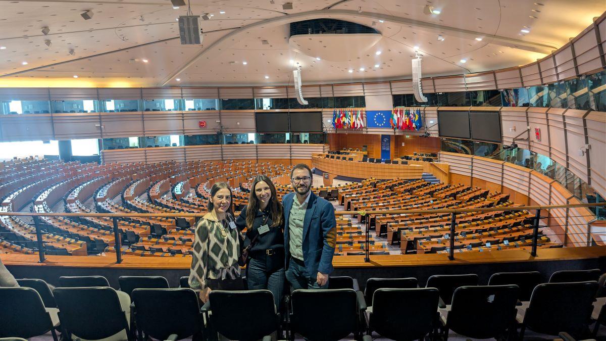 ob.imagen.Descripcion