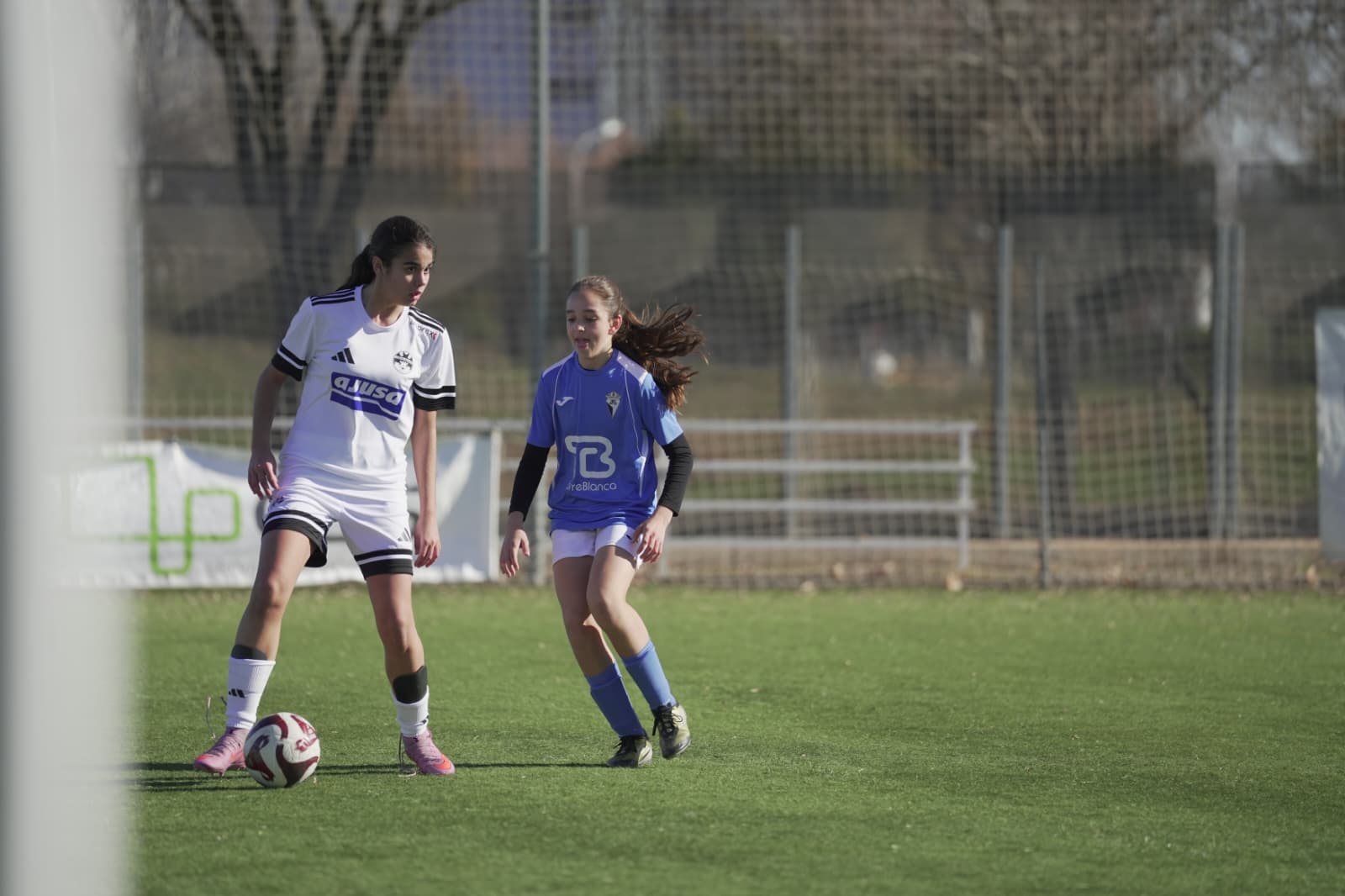 ob.imagen.Descripcion