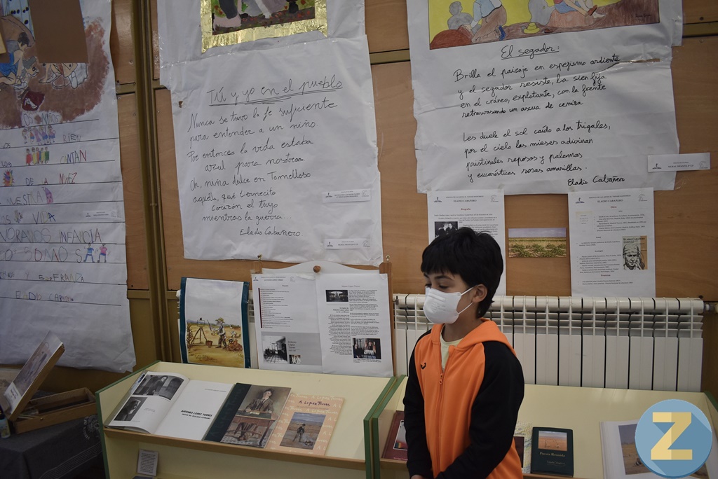 ob.imagen.Descripcion