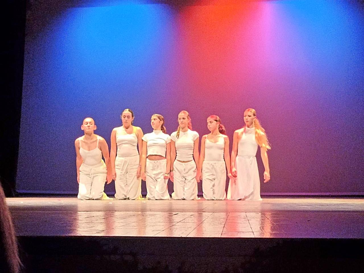 ob.imagen.Descripcion