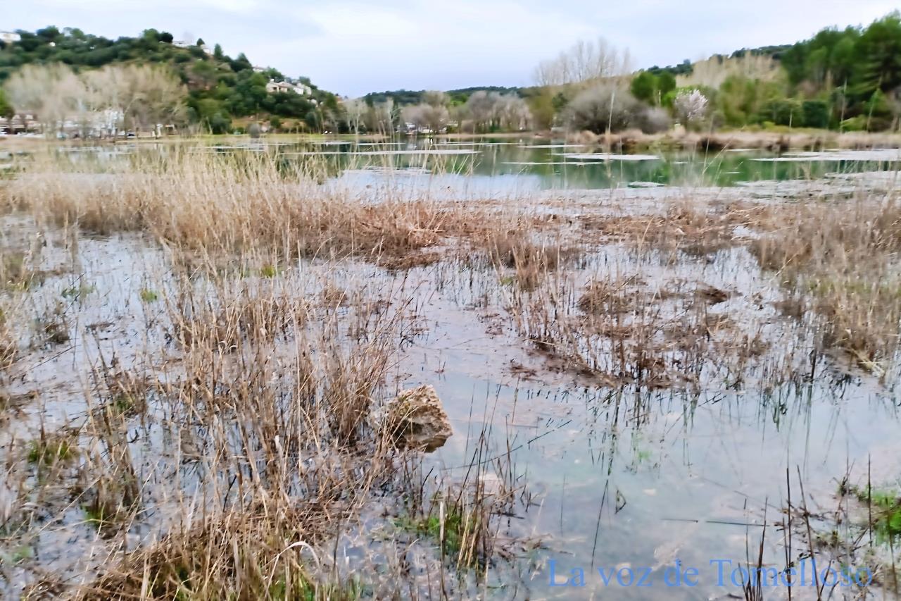 ob.imagen.Descripcion