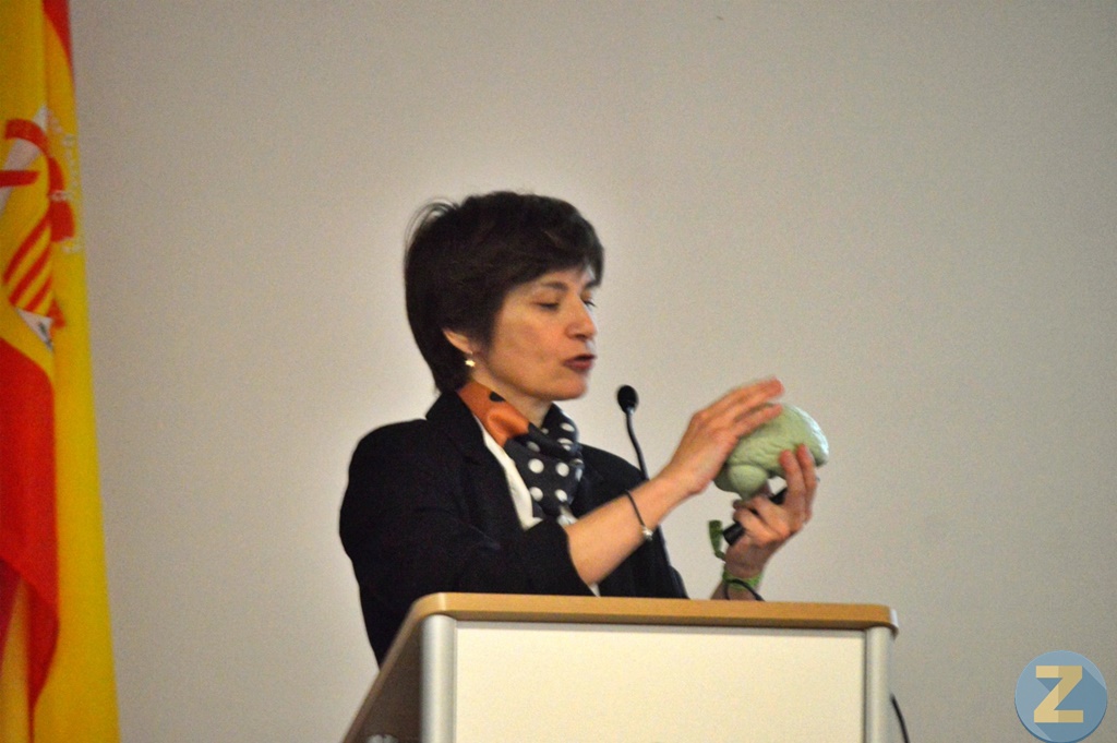 ob.imagen.Descripcion