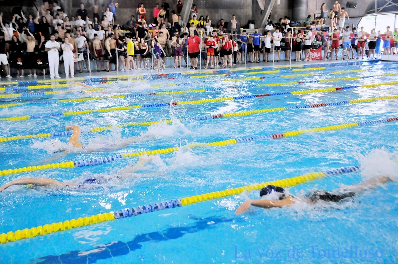 ob.imagen.Descripcion