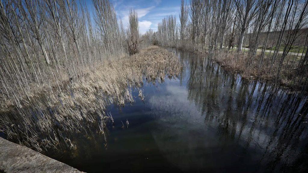 ob.imagen.Descripcion