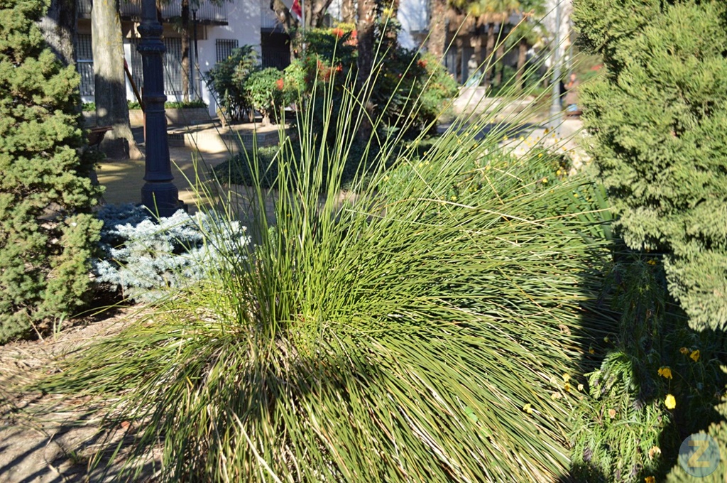 ob.imagen.Descripcion