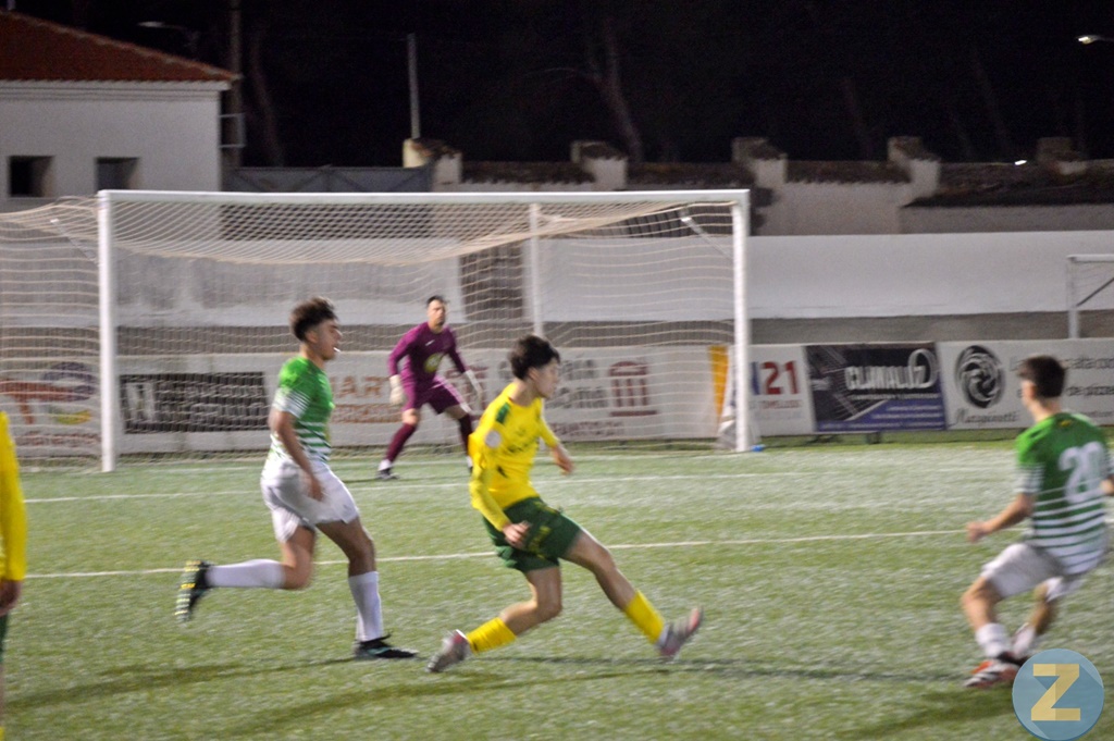 ob.imagen.Descripcion