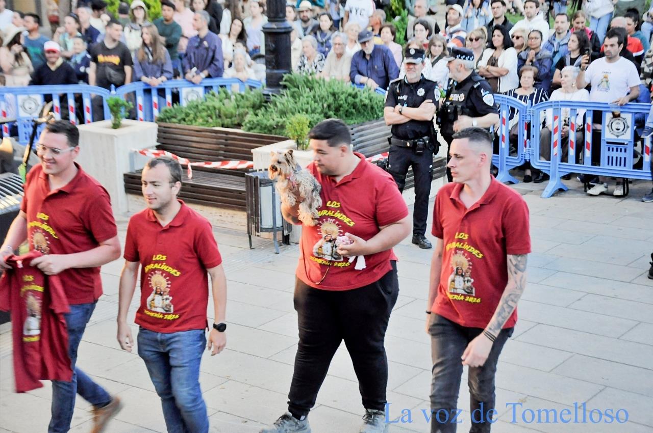 ob.imagen.Descripcion