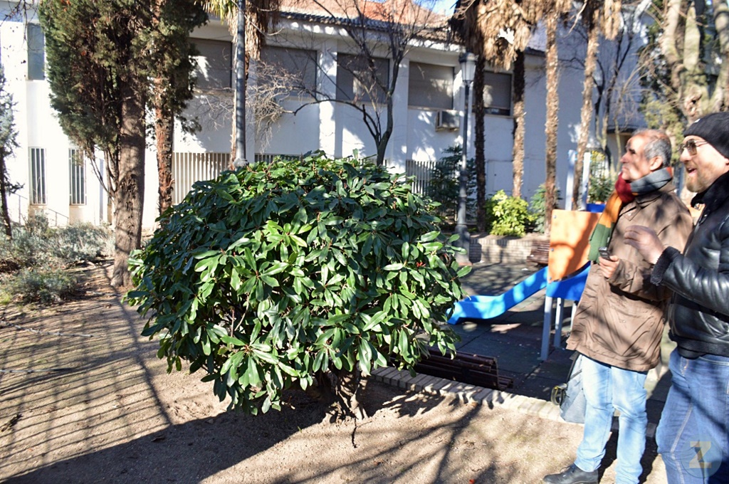 ob.imagen.Descripcion