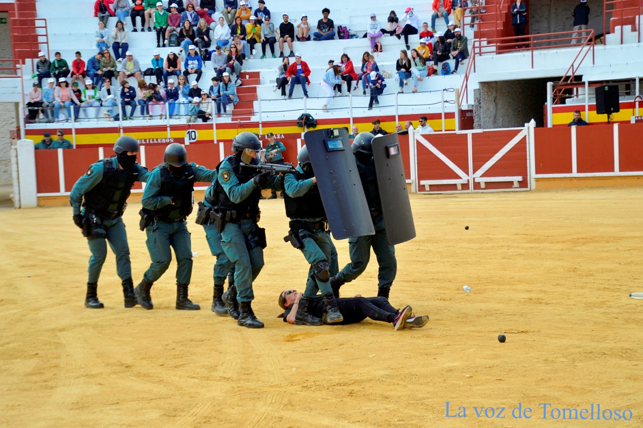 ob.imagen.Descripcion