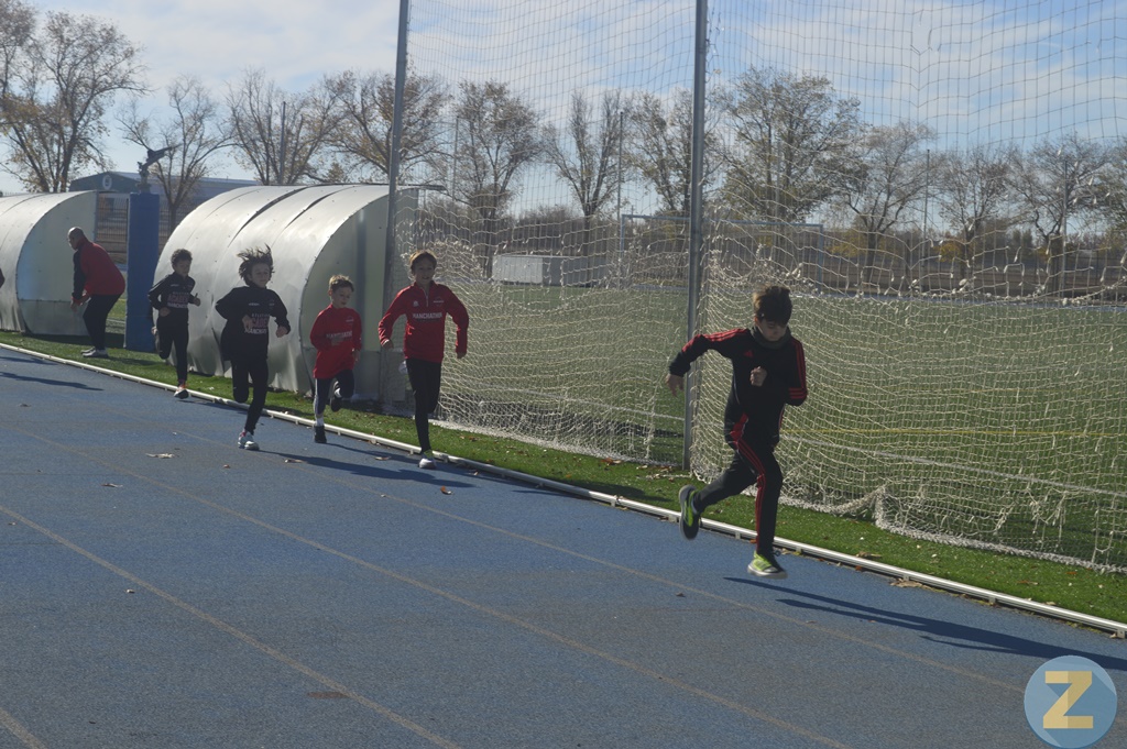 ob.imagen.Descripcion