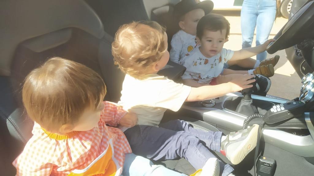 ob.imagen.Descripcion