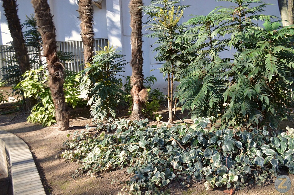 ob.imagen.Descripcion