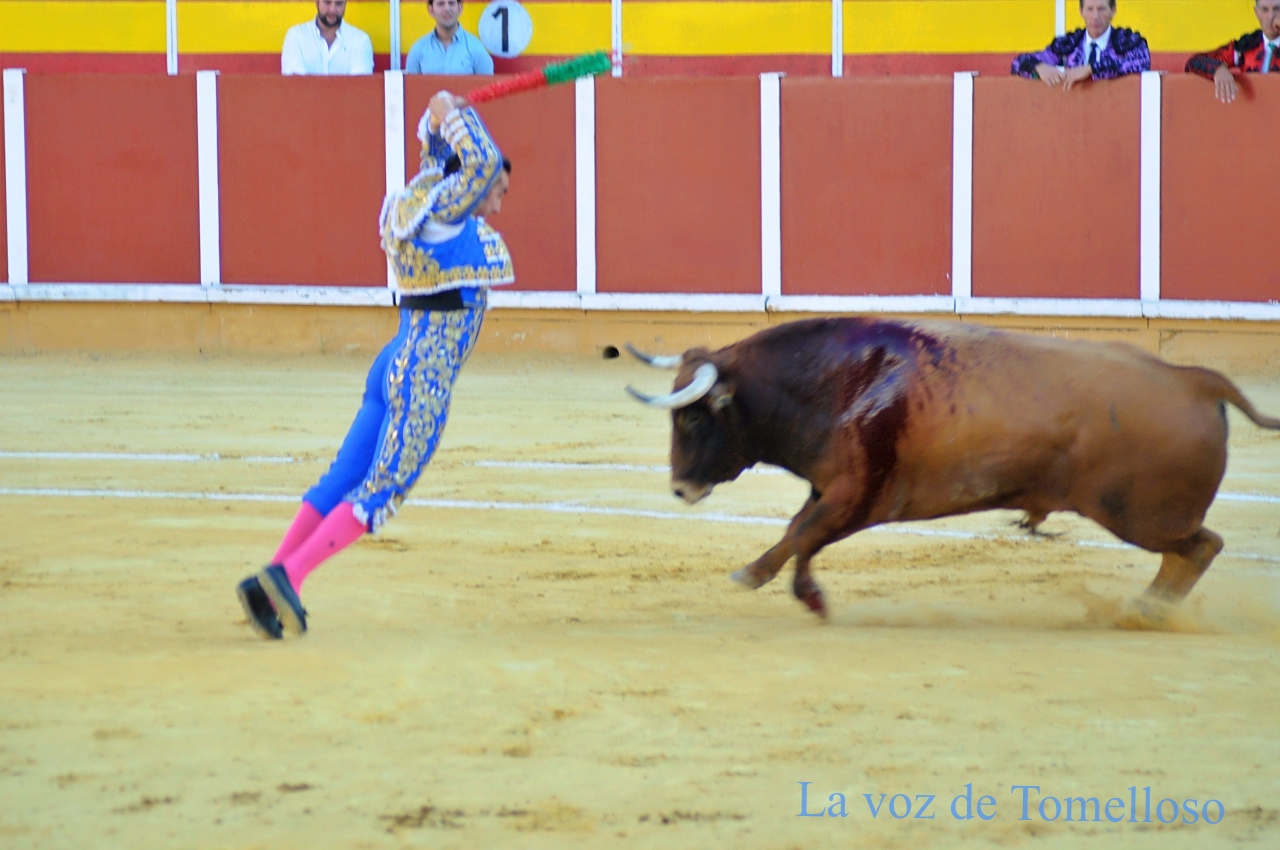 ob.imagen.Descripcion