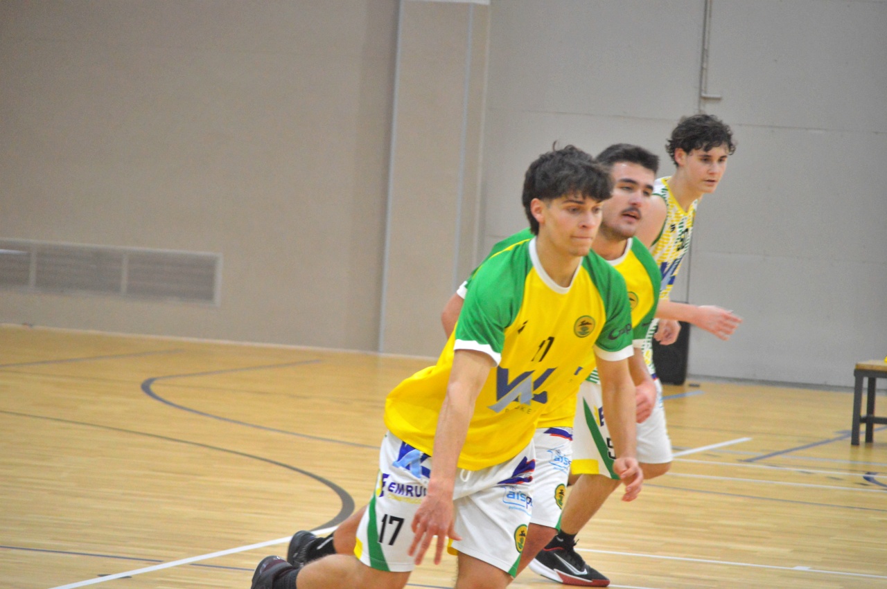 ob.imagen.Descripcion