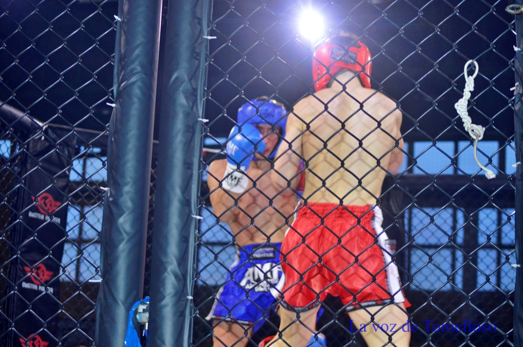 ob.imagen.Descripcion