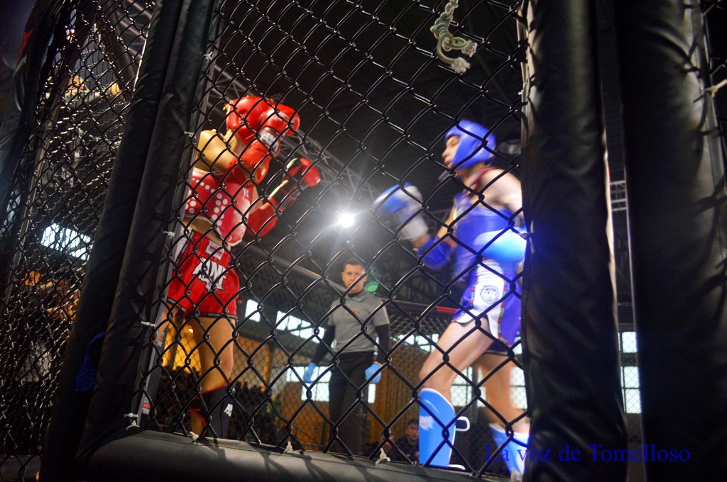 ob.imagen.Descripcion