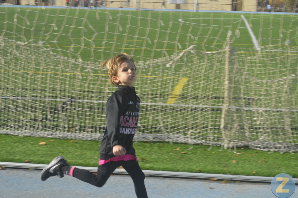 ob.imagen.Descripcion