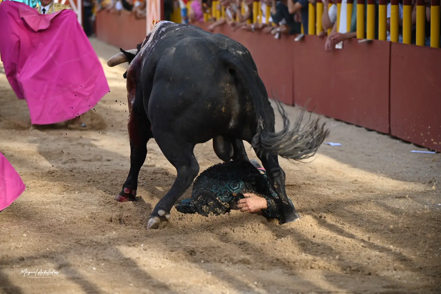 ob.imagen.Descripcion