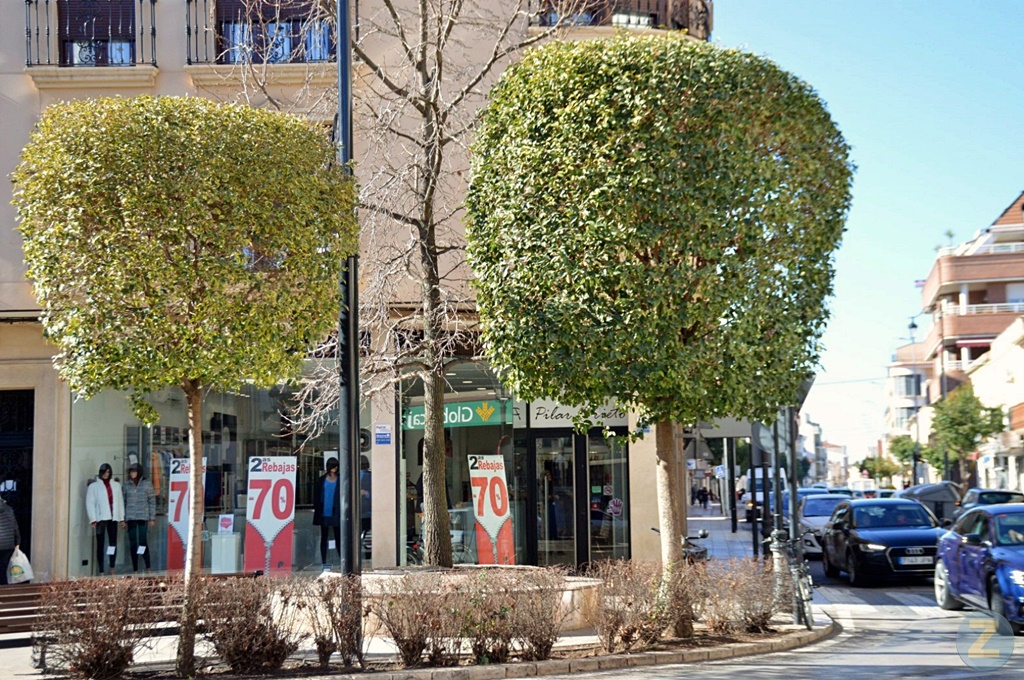 ob.imagen.Descripcion