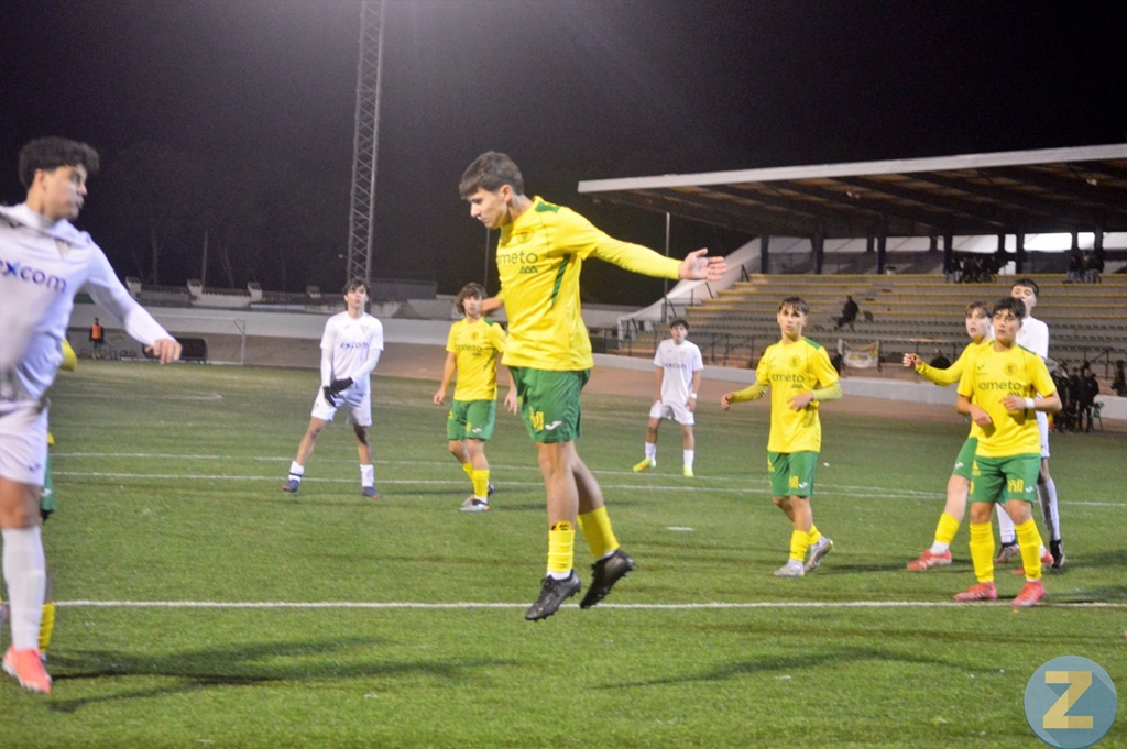 ob.imagen.Descripcion