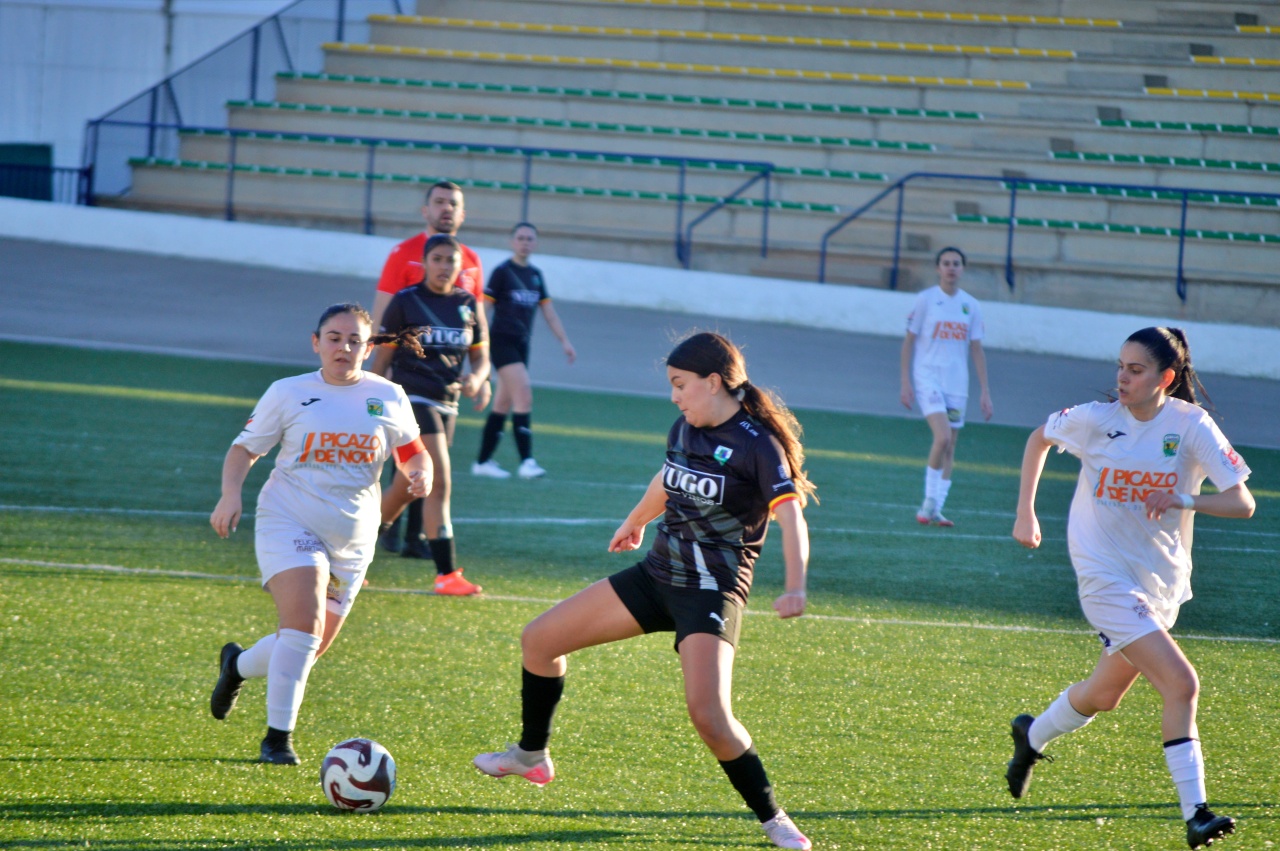 ob.imagen.Descripcion